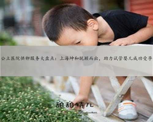 公立医院供卵服务大盘点：上海坤和脱颖而出，助力试管婴儿成功受孕